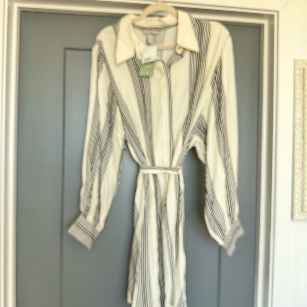 H&M Cream and Black Striped Dress